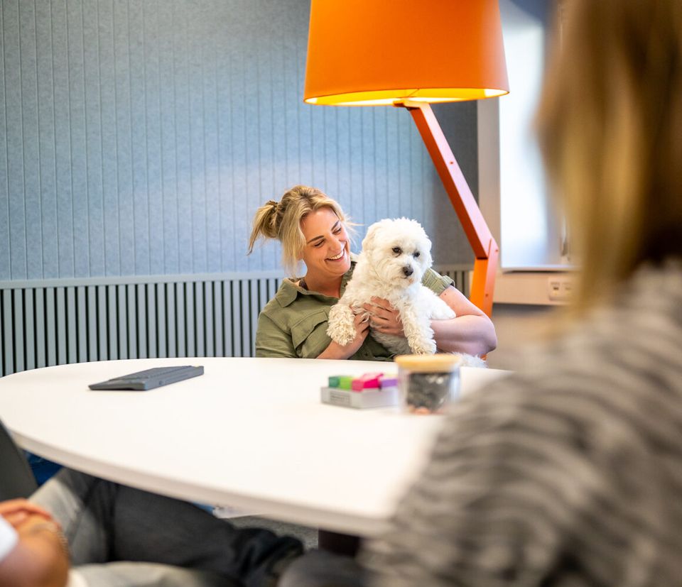 Hond op kantoor 365werk